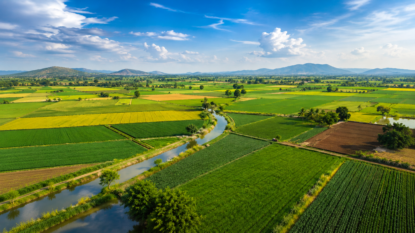 Agriculture Sector